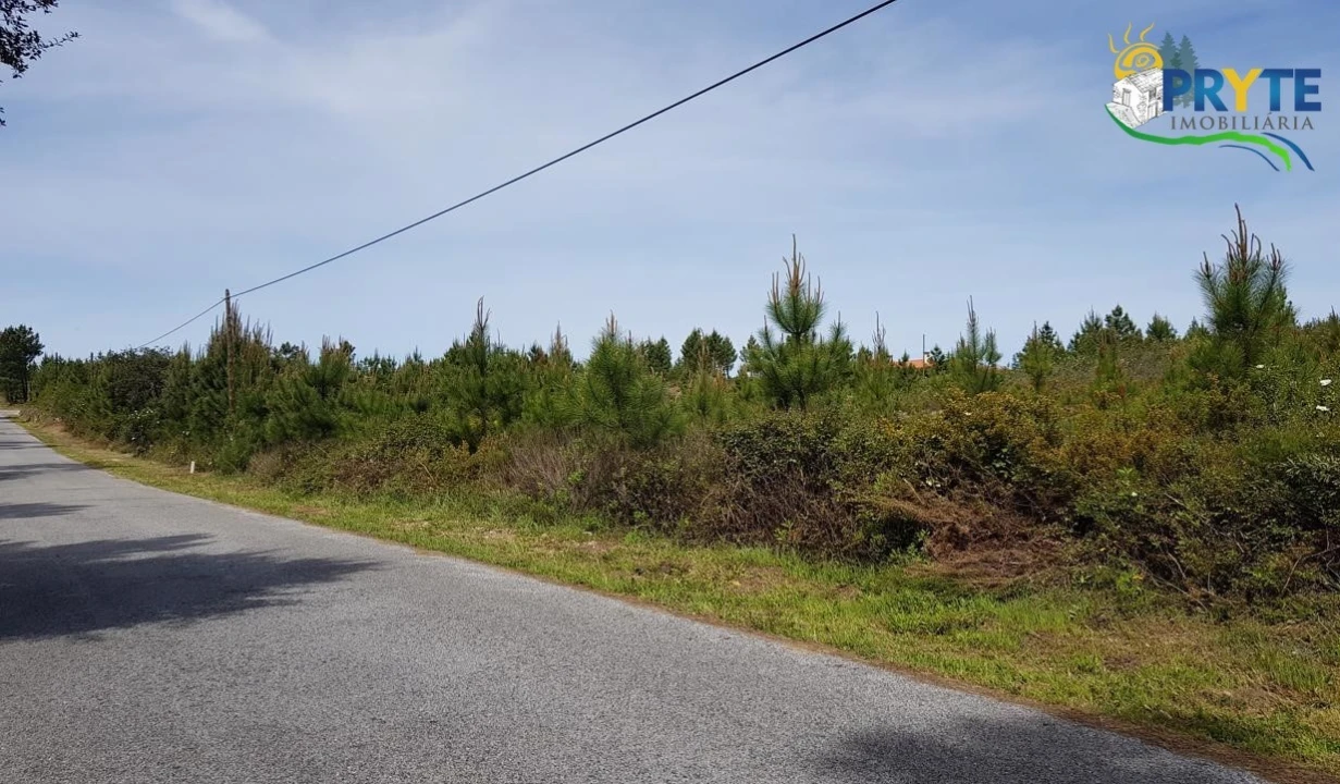 Terreno para Venda em Sertã Foto 3