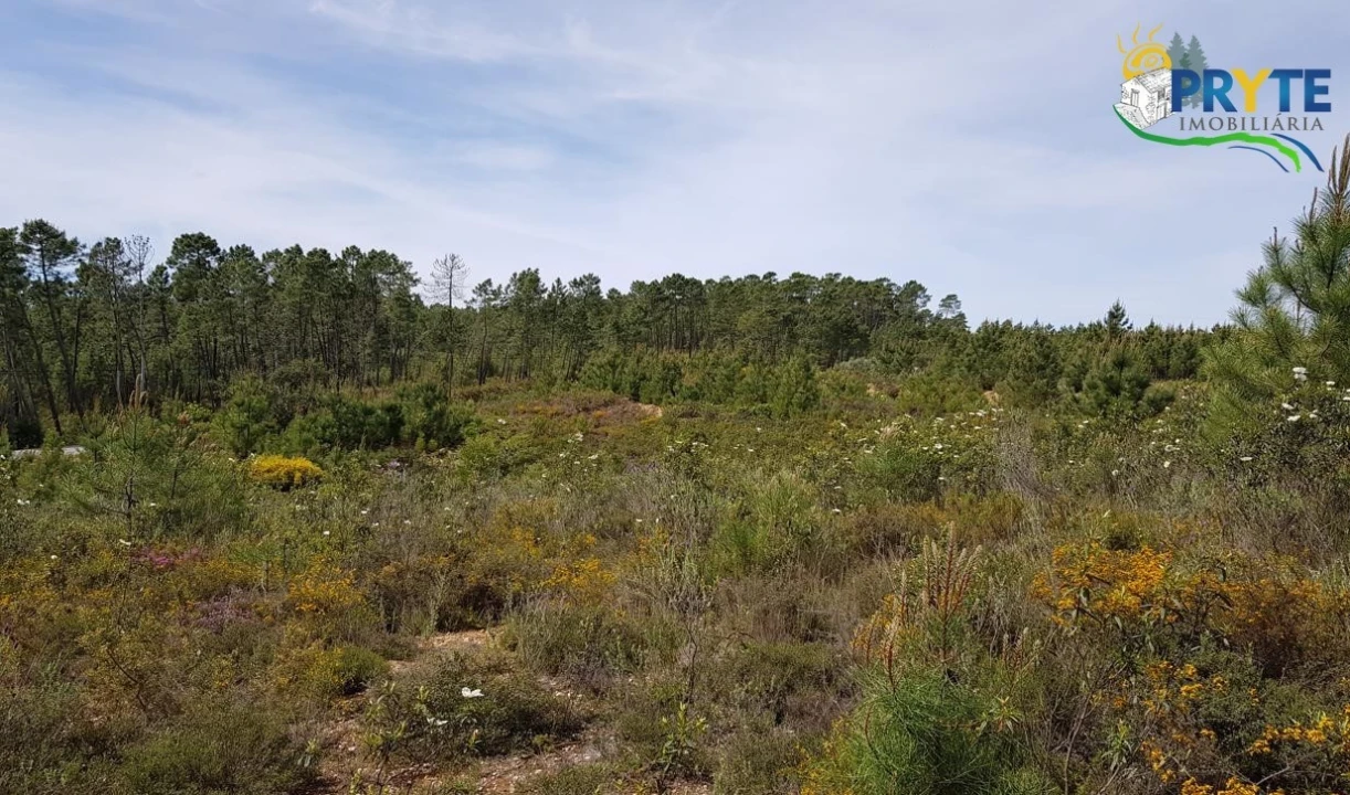 Terreno para Venda em Sertã Foto 6