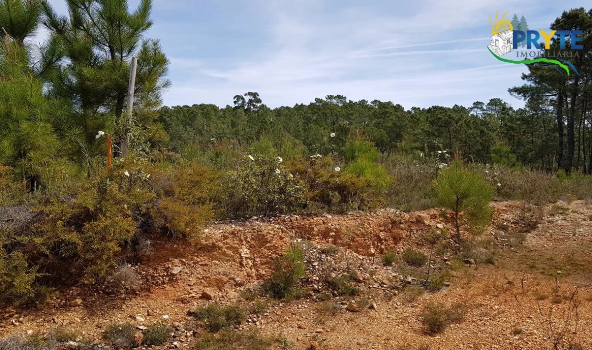 Terreno para Venda em Sertã Foto 7