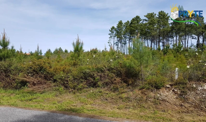 Terreno para Venda em Sertã Foto 1