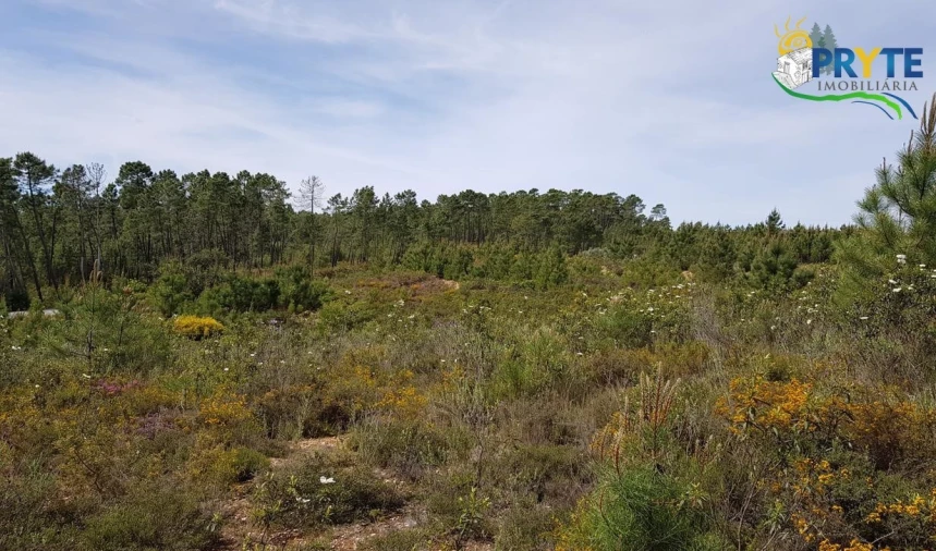Terreno para Venda em Sertã Foto 6