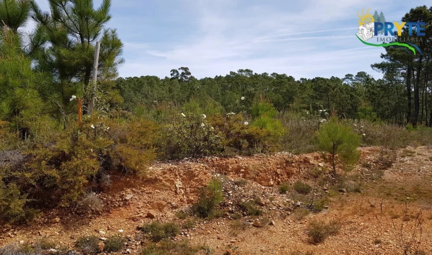 Terreno para Venda em Sertã Foto 7