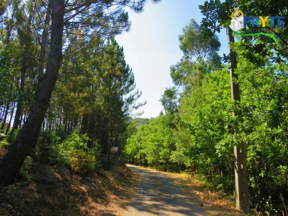 Terreno para Venda em Cernache do Bonjardim, Nesperal e Palhais Foto 25