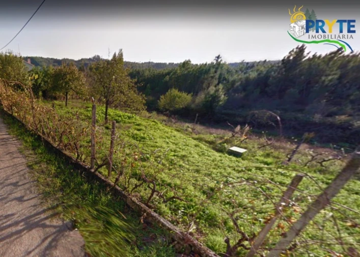 Terreno para Venda em Cernache do Bonjardim, Nesperal e Palhais Foto 26