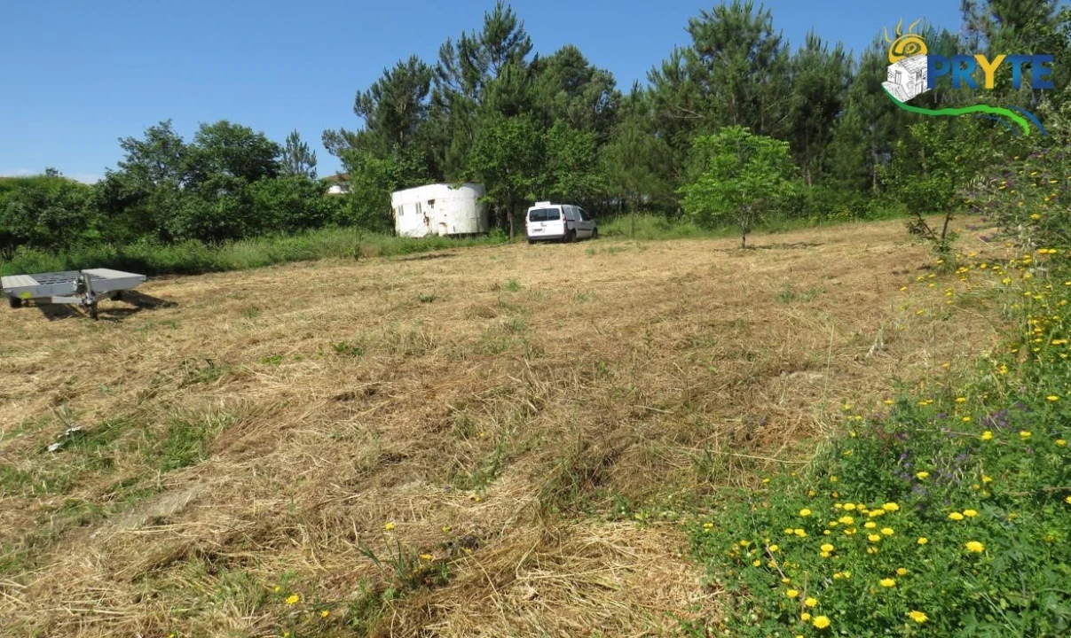 Terreno para Venda em Sertã Foto 2