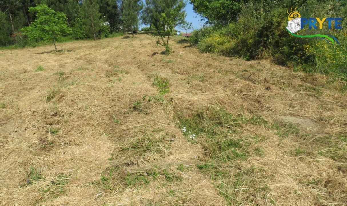 Terreno para Venda em Sertã Foto 6