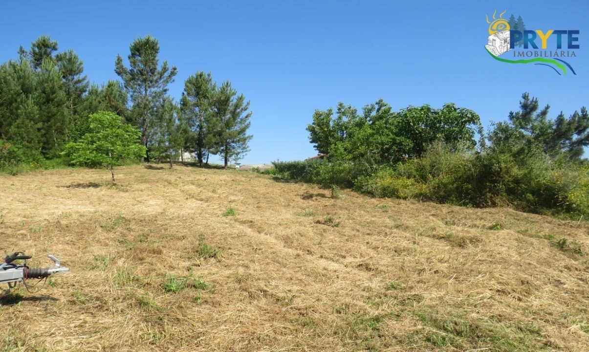 Terreno para Venda em Sertã Foto 9