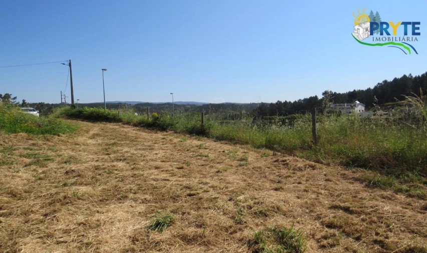 Terreno para Venda em Sertã Foto 1