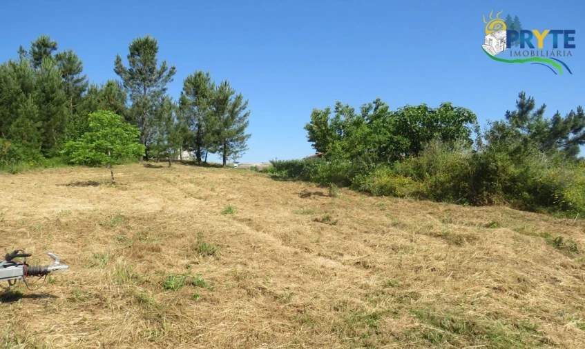 Terreno para Venda em Sertã Foto 9