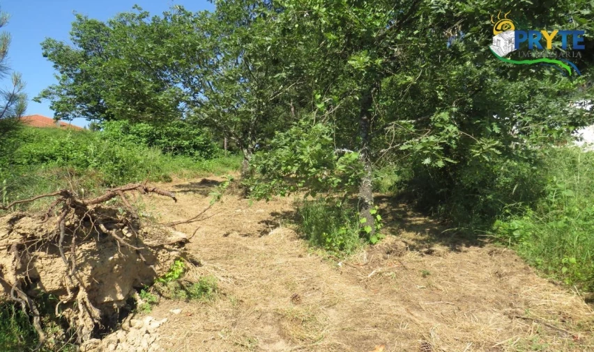 Terreno para Venda em Sertã Foto 13