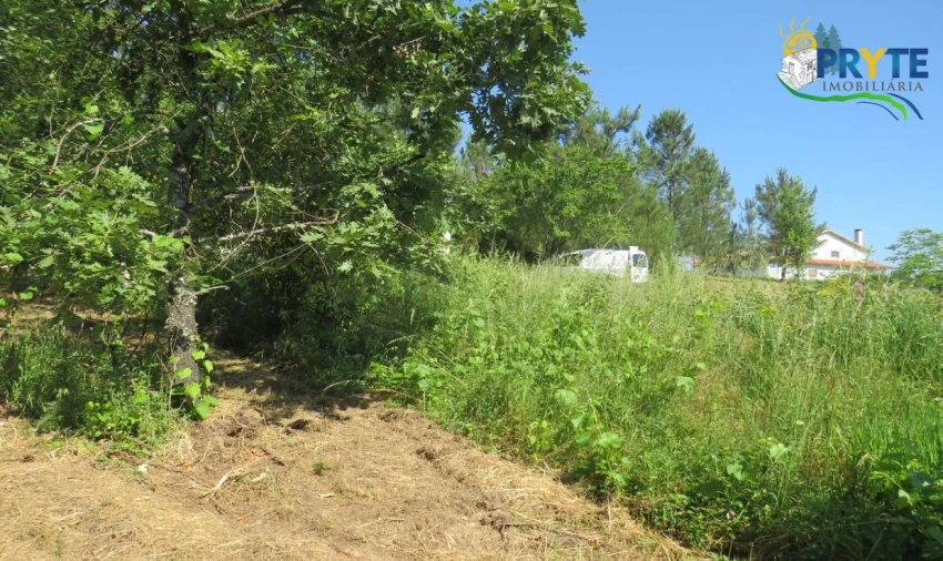 Terreno para Venda em Sertã Foto 15