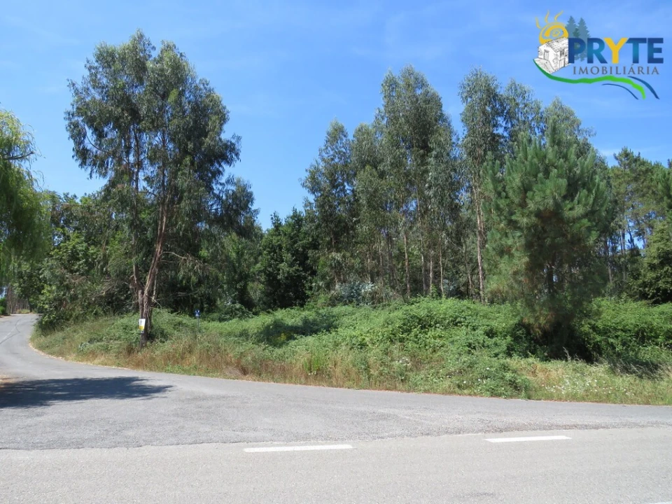 Terreno para Venda em Cernache do Bonjardim, Nesperal e Palhais Foto 1