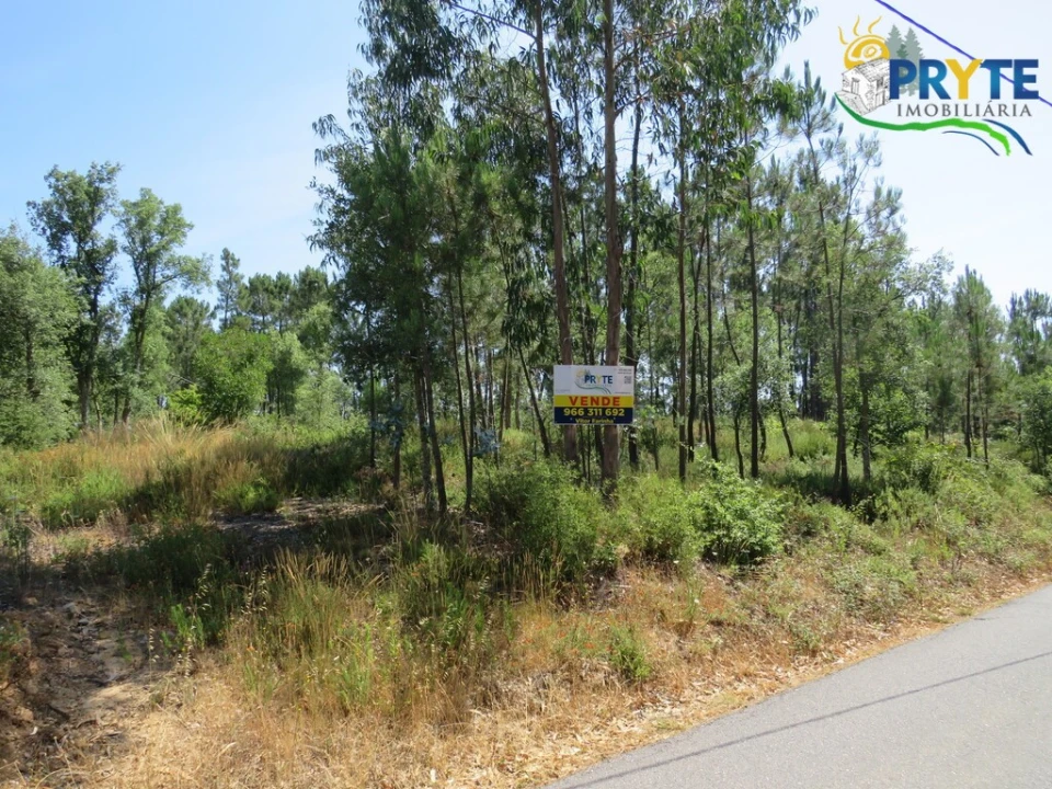 Terreno para Venda em Cernache do Bonjardim, Nesperal e Palhais Foto 2