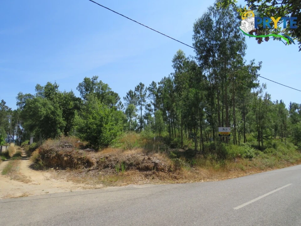 Terreno para Venda em Cernache do Bonjardim, Nesperal e Palhais Foto 3