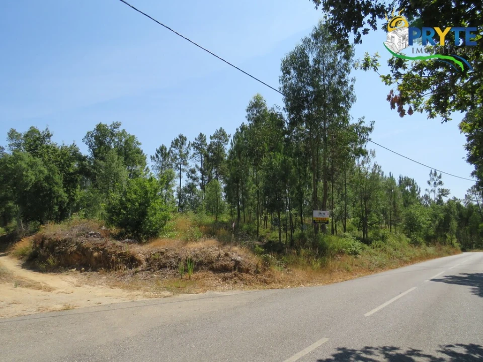 Terreno para Venda em Cernache do Bonjardim, Nesperal e Palhais Foto 4