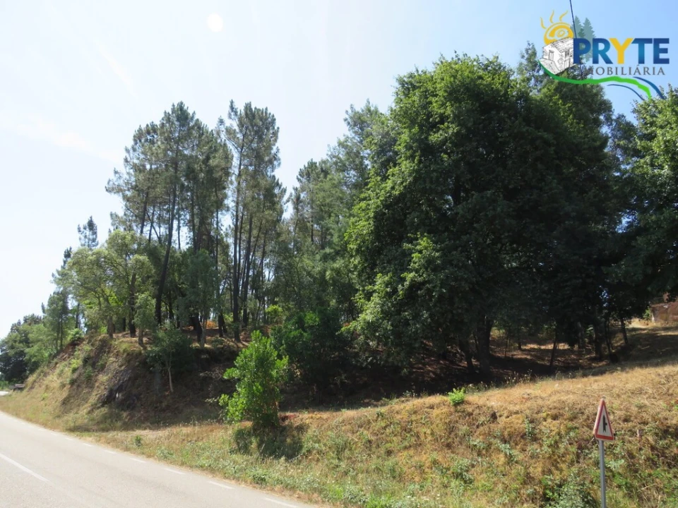 Terreno para Venda em Cernache do Bonjardim, Nesperal e Palhais Foto 5