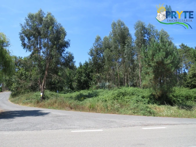 Terreno para Venda em Cernache do Bonjardim, Nesperal e Palhais Foto 1