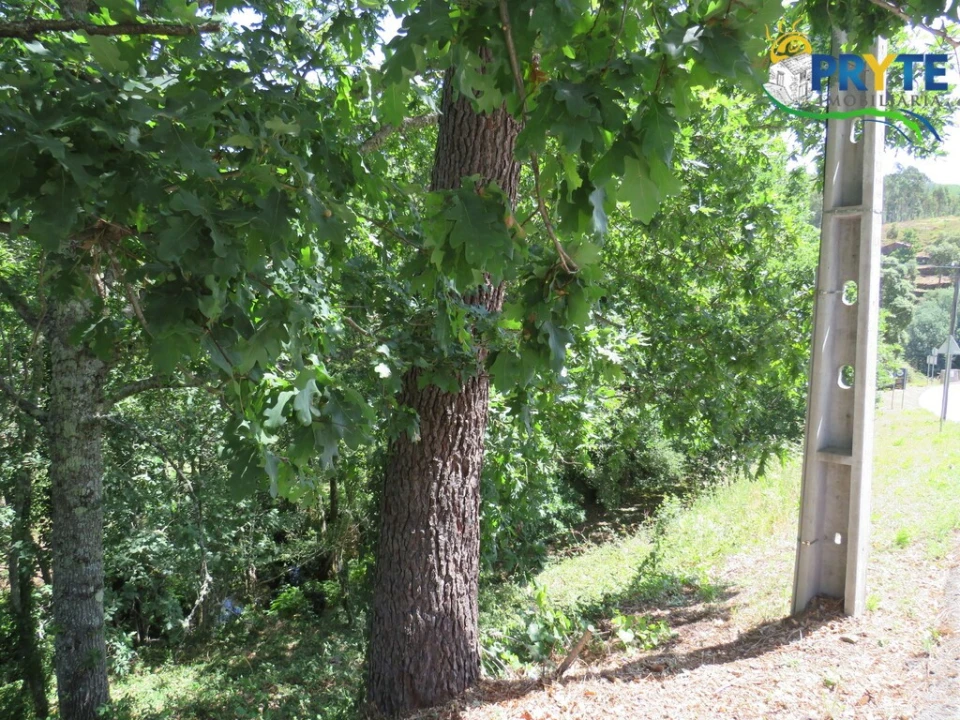 Terreno para Venda em Pedrogão Grande Foto 4