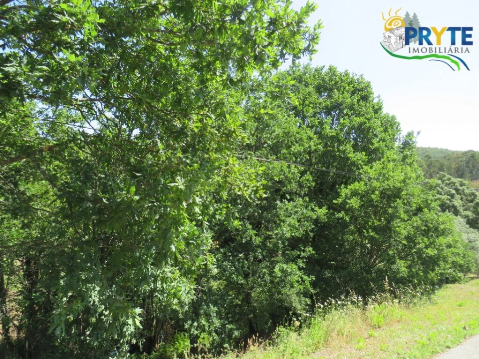 Terreno para Venda em Pedrogão Grande Foto 5