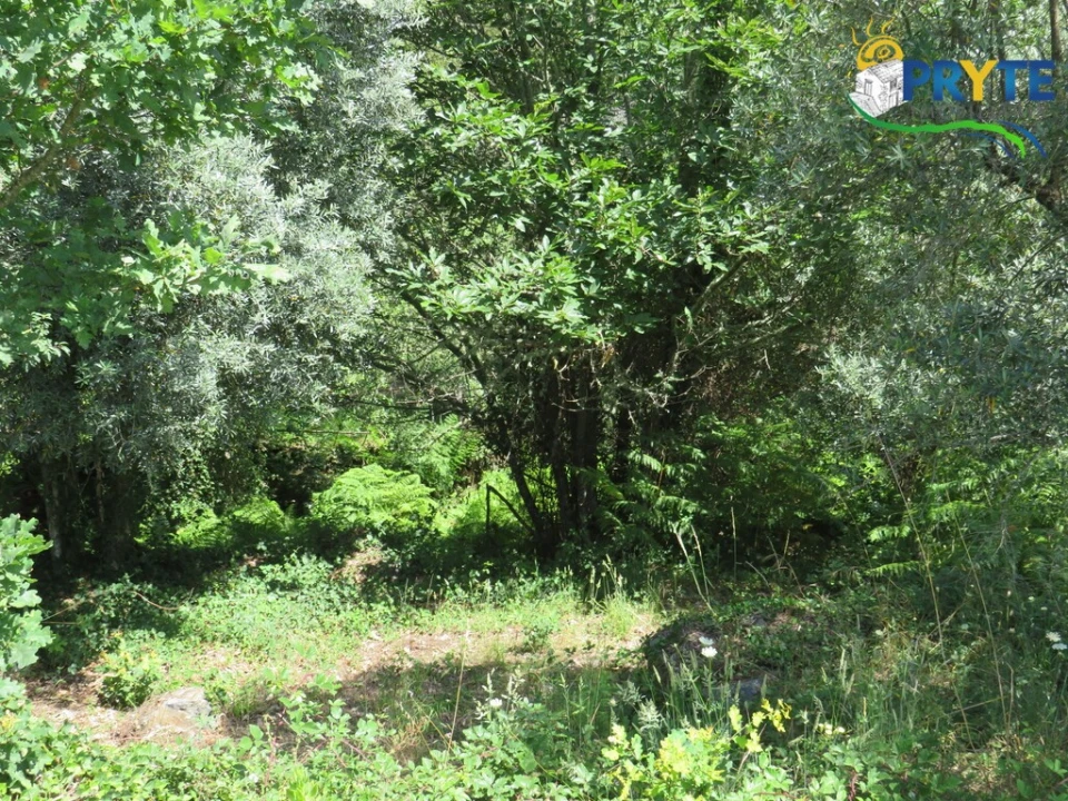 Terreno para Venda em Pedrogão Grande Foto 7