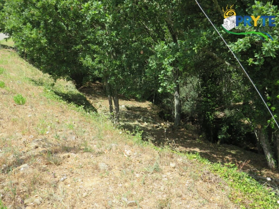Terreno para Venda em Pedrogão Grande Foto 11