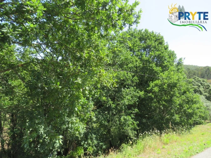 Terreno para Venda em Pedrogão Grande Foto 5