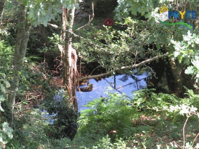 Terreno para Venda em Pedrogão Grande Foto 6