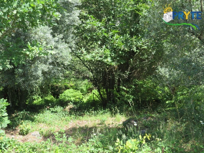 Terreno para Venda em Pedrogão Grande Foto 7