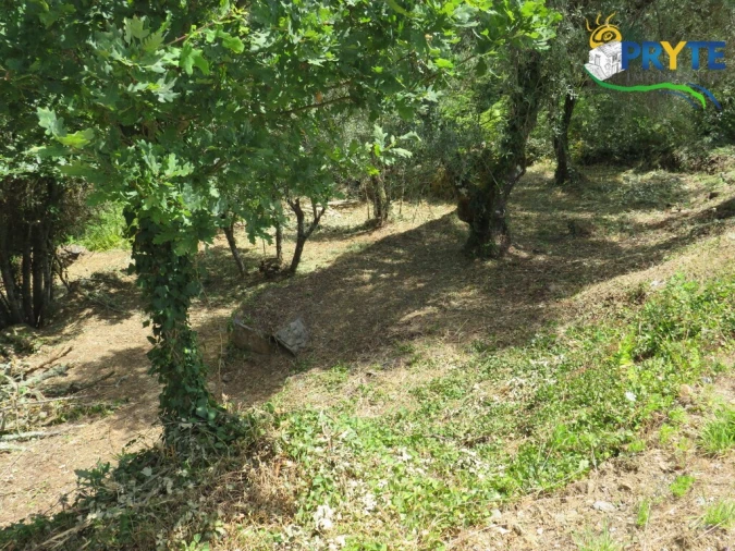 Terreno para Venda em Pedrogão Grande Foto 10