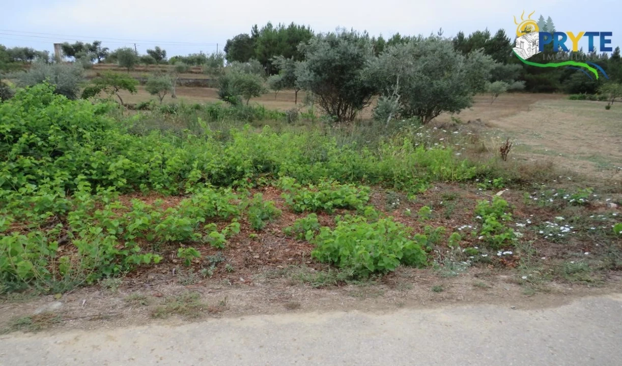 Terreno para Venda em Fundada Foto 9
