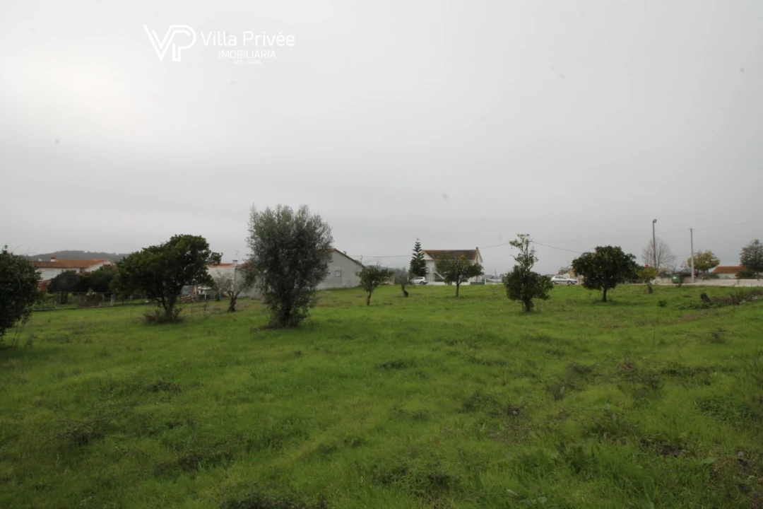 Terreno para Venda em Pereira Foto 6