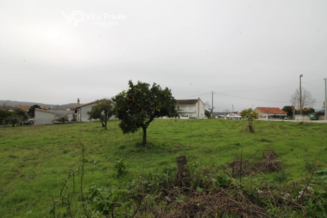 Terreno para Venda em Pereira Foto 7