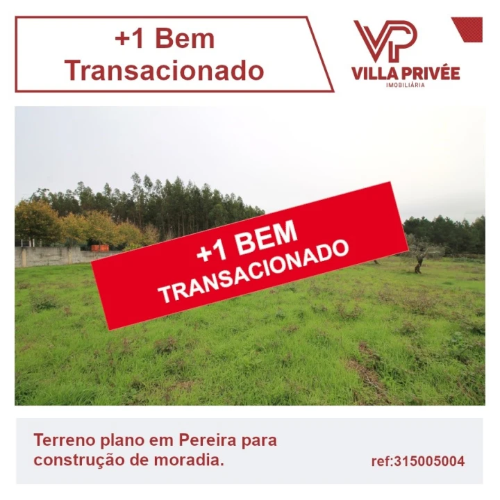 Terreno para Venda em Pereira Foto 1