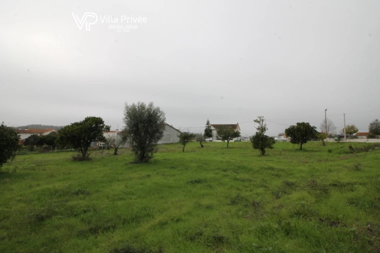 Terreno para Venda em Pereira Foto 6