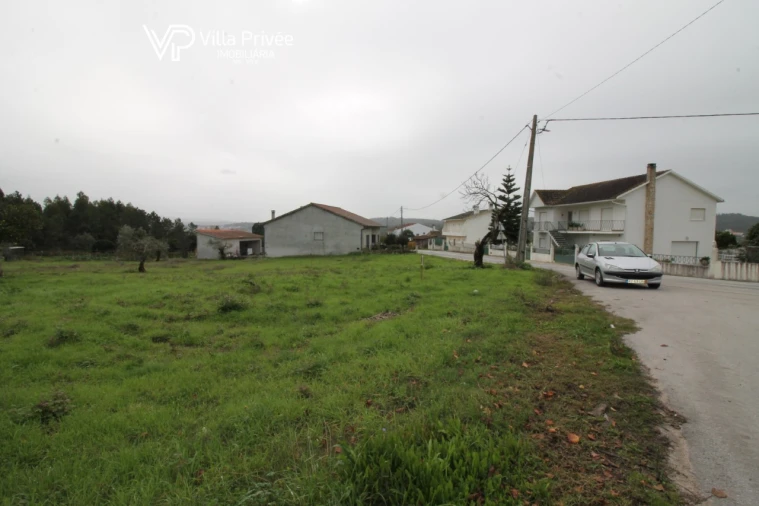 Terreno para Venda em Pereira Foto 8