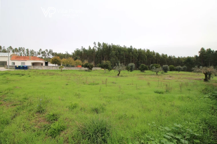 Terreno para Venda em Pereira Foto 9