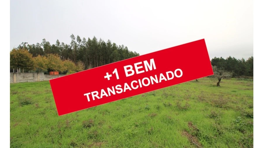 Terreno para Venda em Pereira