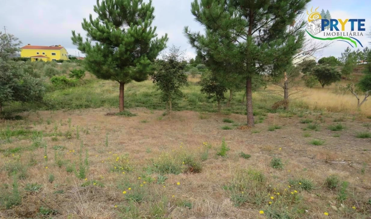 Terreno para Venda em Vila de Rei Foto 4