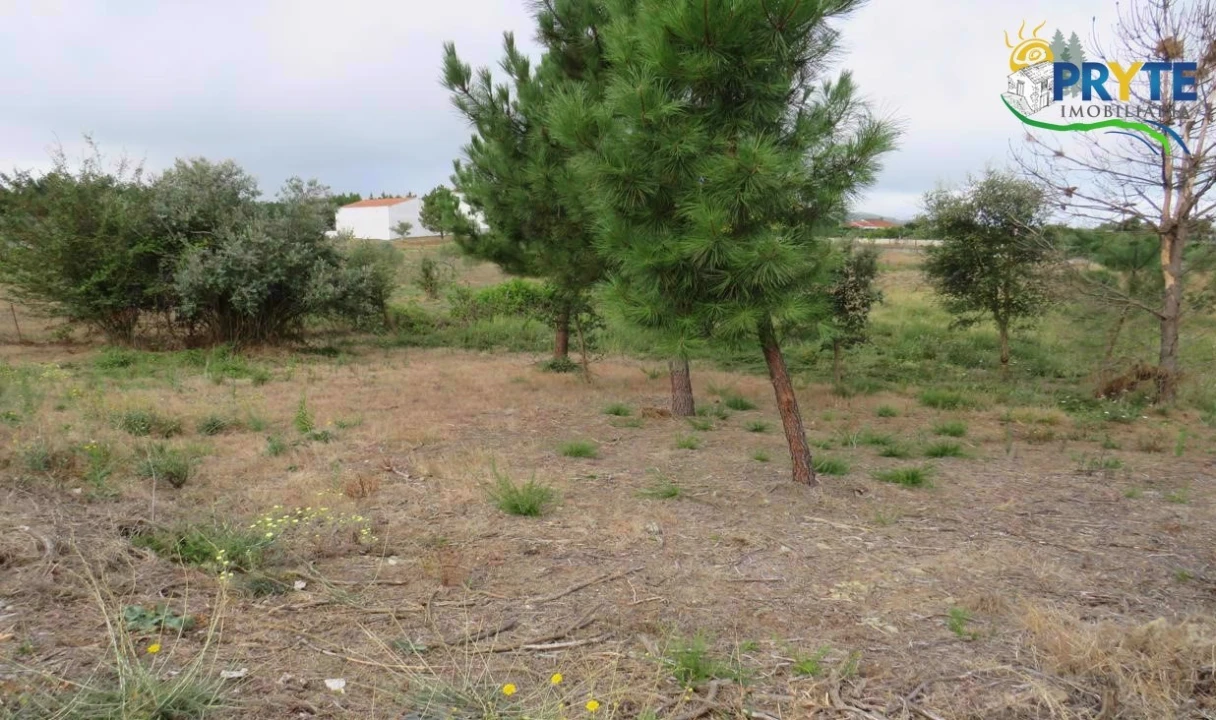 Terreno para Venda em Vila de Rei Foto 5