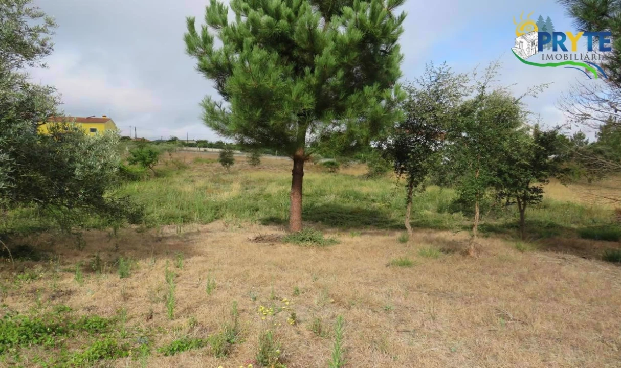 Terreno para Venda em Vila de Rei Foto 8