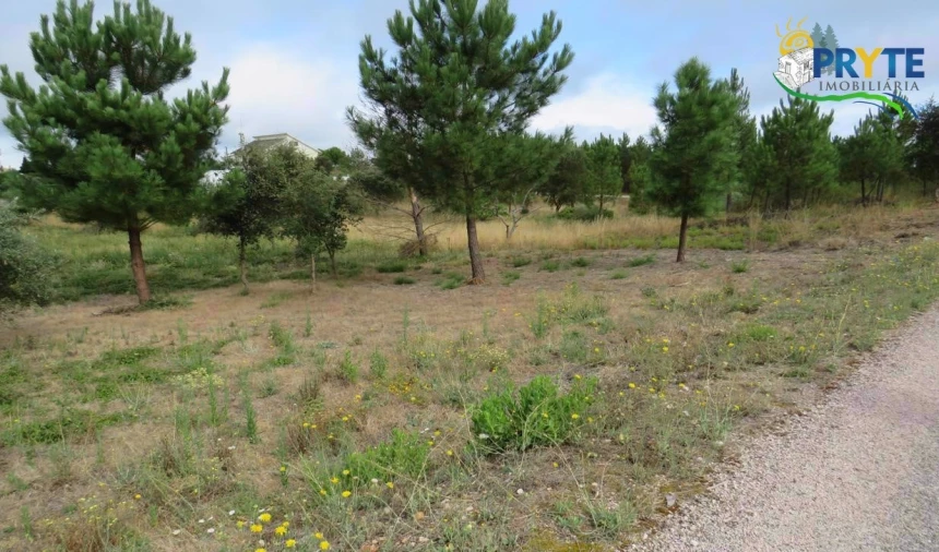 Terreno para Venda em Vila de Rei Foto 2