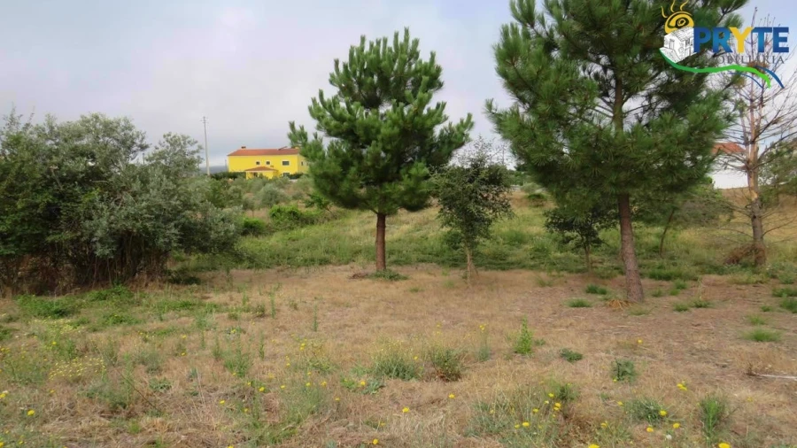 Terreno para Venda em Vila de Rei