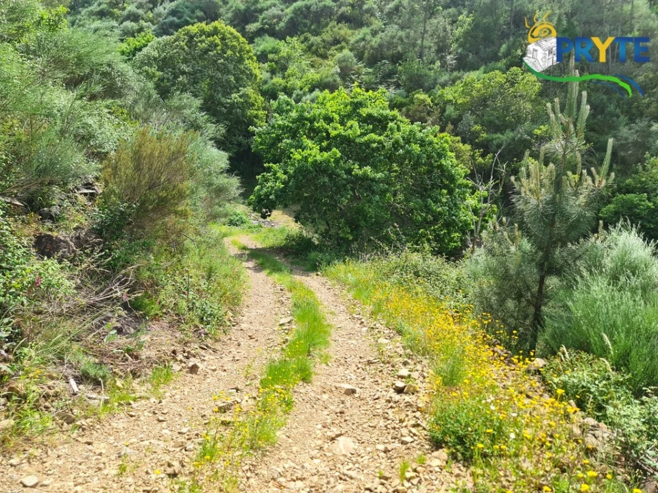 Terreno para Venda em Castelo Foto 23