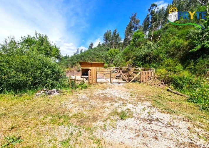 Terreno para Venda em Castelo Foto 6