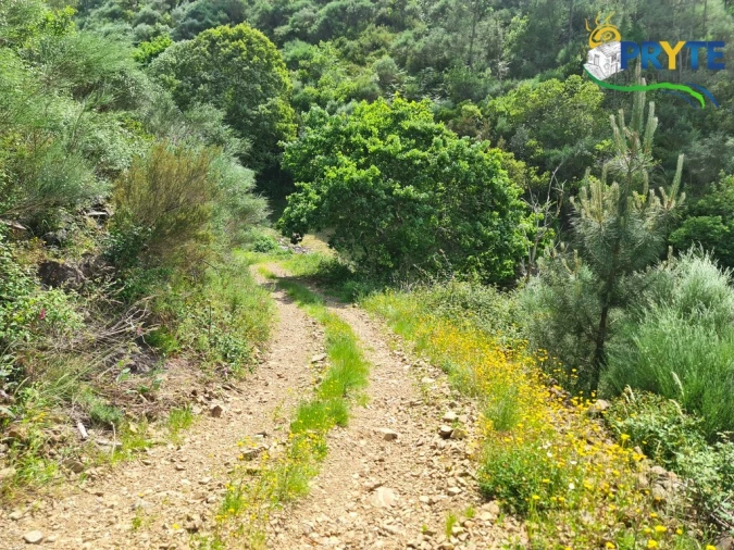 Terreno para Venda em Castelo Foto 23