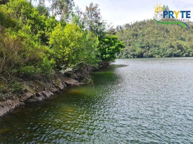 Terreno para Venda em Castelo Foto 31