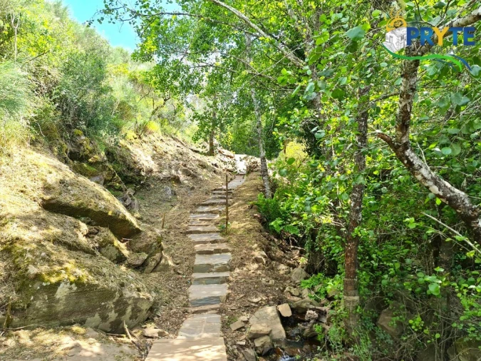 Terreno para Venda em Castelo Foto 34