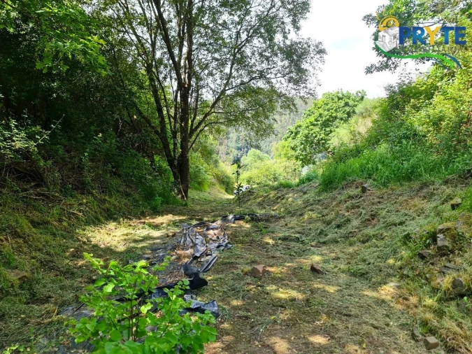 Terreno para Venda em Castelo Foto 42