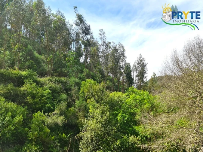 Terreno para Venda em Castelo Foto 51