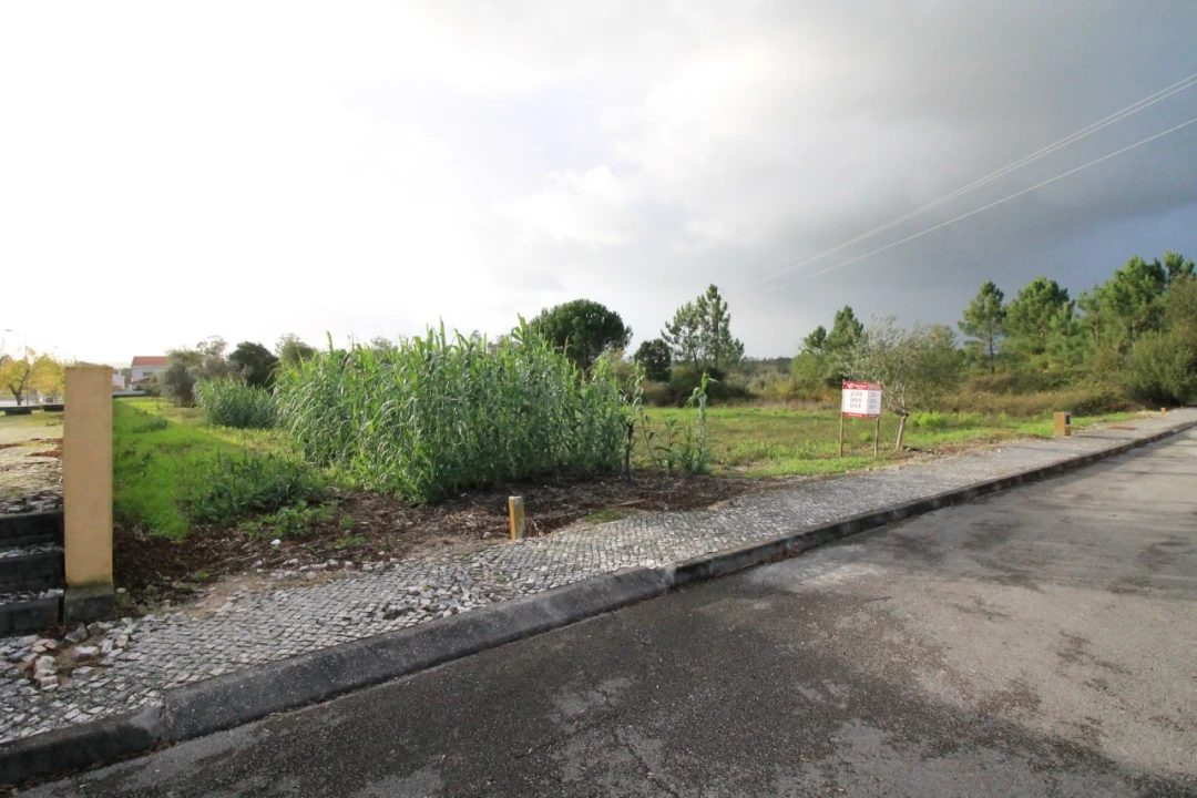 Terreno para Venda em Sebal e Belide Foto 4